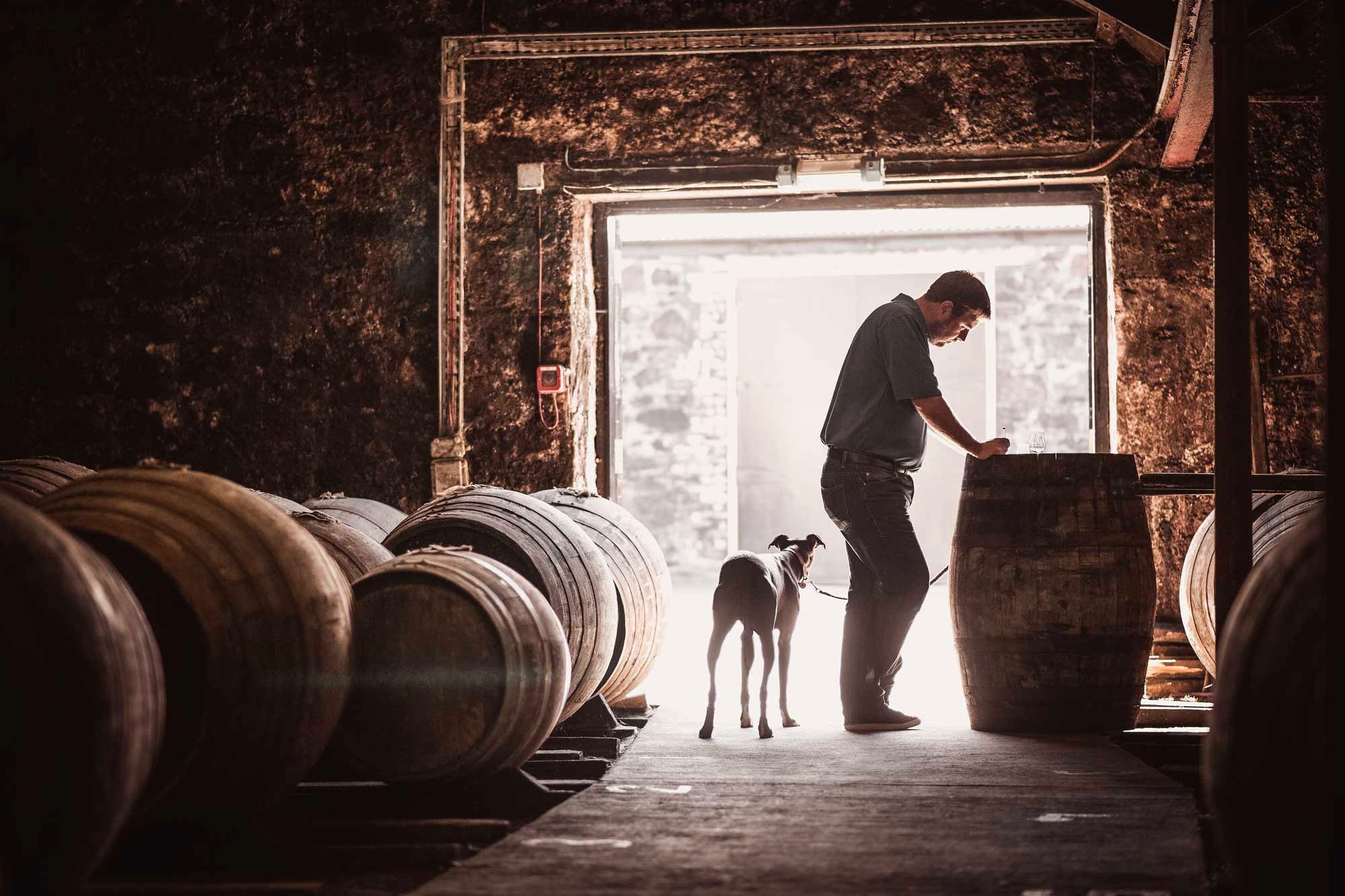 Springbank Distillery