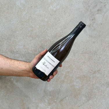 A hand holding a bottle of Vignoble Berthier 2020 Sancerre Nature wine with a concrete background.