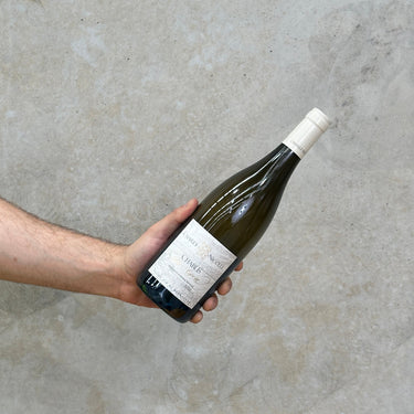A hand holding a bottle of Charly Nicolle Chablis Per Aspera against a grey concrete background.