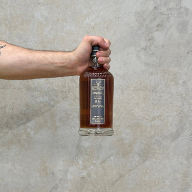 A hand holding a bottle of Gordon & Macphail Private Collection - Glenlivet 1976 Whisky against a grey concrete background