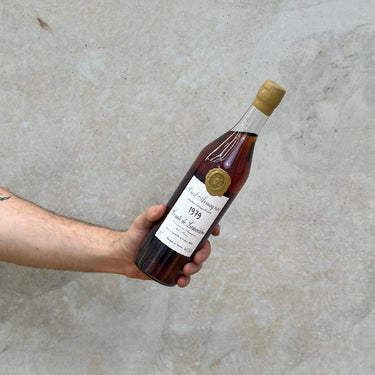 A hand holding a bottle of Comte De Lamaestre 1979 Bas Armangac Brandy against a concrete background.