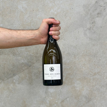 A hand holding a bottle of Terre Des Dame 2022 La Diva Blanche white wine against a grey background.