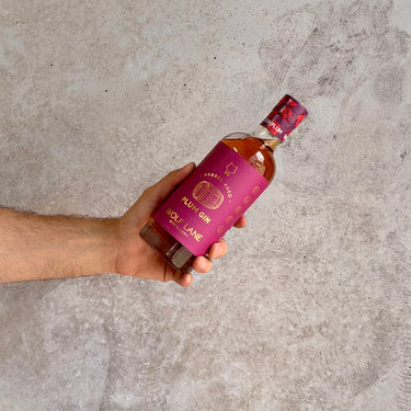 Hand holding a bottle of Wolf Lane Plum gin against a concrete background